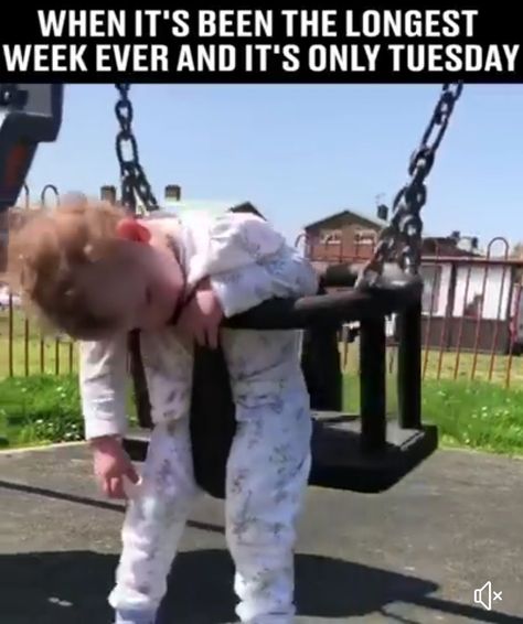 When it's been the longest week ever and it's only Tuesday. Its Only Tuesday, Is It Friday Yet, Is It Friday, Workplace Humor, It Friday, Good Morning Funny Pictures, Tuesday Humor, Work Quotes Funny, Morning Quotes Funny