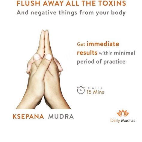 Healing Reflexology, Hand Mudras, Yoga Facts, Yoga Kundalini, Yoga Hands, Healing Yoga, Yoga Mantras, Energy Healing Spirituality, Yoga Iyengar