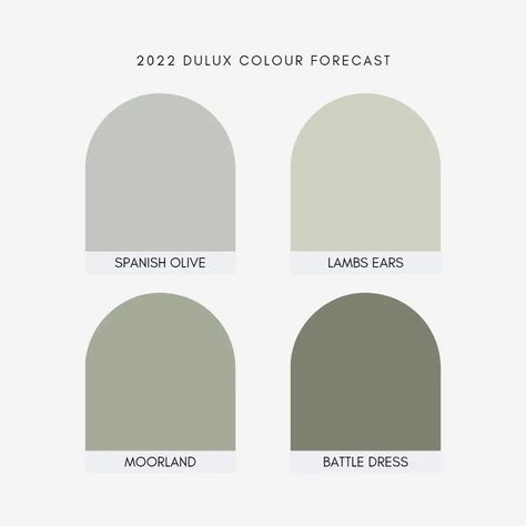 interior designer | content creator on Instagram: "D U L U X F O R E C A S T 🌈 Greens are in and they're going to be sticking around for a while, especially with these beautiful colours from @duluxaus 🌸 They all look amazing as cabinetry or feature walls, and Spanish olive is a great exterior choice! What colour would you choose? #duluxaus #duluxcolour #designtrends #colourtrend #colourselection #duluxpaint #colourtrends #sagegreen #greeninterior #interiortrends #forecast #trendsetter #tr