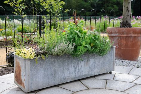 Galvanised Trough Planter, Galvanised Planter Ideas, Cabinet Planters, Metal Trough Planter, Plant Troughs, Metal Trough, Vege Garden, Patio Container Gardening, Garden Troughs