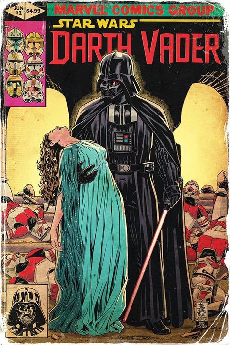 Darth Vader Marvel, Darth Vader Comic, Mark Brooks, Dark Lord Of The Sith, Darth Vader Star Wars, Anakin And Padme, Dark Vador, Star Wars Books, Alex Ross