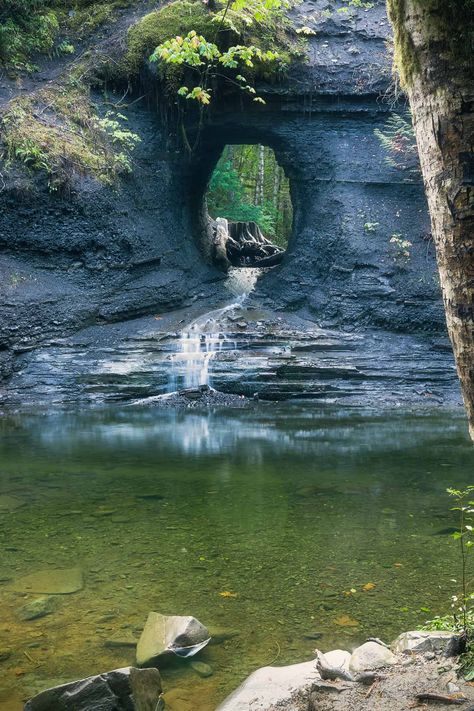 Hidden Hole In The Wall Port Alberni - BestEver.Guide Tofino Canada, Port Alberni, Hole In The Wall, Waterfall Wall, Forest Trail, Small Waterfall, River Falls, Camping Spots, Enjoy Nature