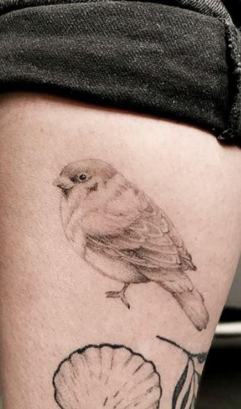 Song Sparrow Tattoo, House Sparrow Tattoo, Simple Sparrow Tattoo, Sparrow Tattoos, Sparrow Pictures, Cute Sparrow, Sparrow Tattoo Design, Tattoo 2024, Sparrow Tattoo