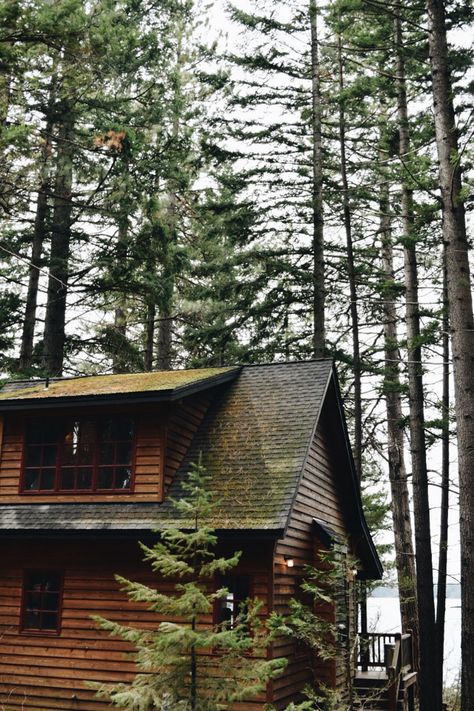 Oregon Cabin Aesthetic, Oregon House Aesthetic, Rainy Cabin, Oregon Houses, Lost Lake Oregon, Pnw Vibes, Oregon Aesthetic, Lodge Aesthetic, Ranger Station