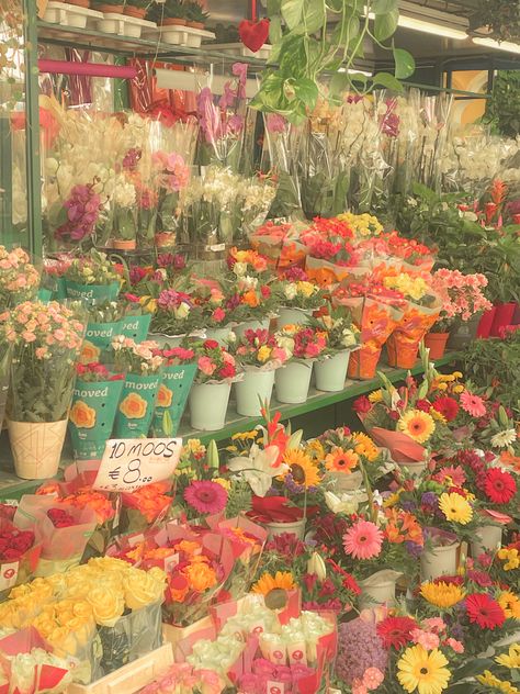 farmers market flower stand in italy Vintage Farmers Market, Spring Farmers Market, Farmers Market Painting, Hawaii Farmers Market, Spanish Festivals, Farmers Market Flowers, Flower Farmer, Flower Stands, Flower Market