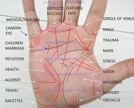 Read Palm Lines, Reading Palms Hands, Palm Lines Reading Hands, Marriage Lines Palmistry, Palm Reading Charts, Hand Reading, Indian Palmistry, Palmistry Reading, Palmistry Hand