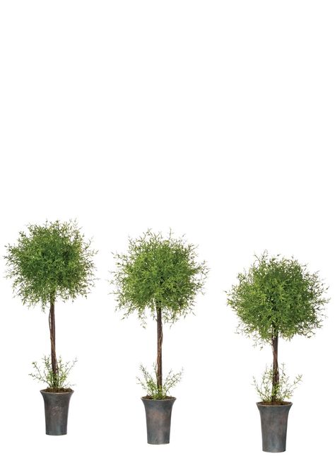 Topiary Tree, Reception Tables, Artificial Plants Outdoor, Topiary Trees, Artificial Flowers And Plants, Faux Tree, Silk Plants, Topiaries, Potted Trees