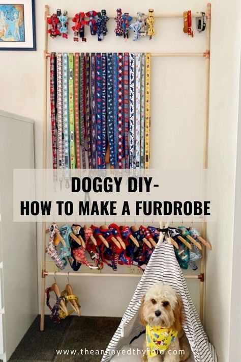 Dog Lead Storage Ideas, Dog Closet Diy, Dog Clothing Storage Ideas, Dog Collar Organizer, Dog Collar Storage Ideas, Dog Harness Storage, Dog Clothes Storage Ideas, Dog Collar Storage, Dog Bandana Storage Ideas