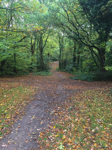 It's a great running trail (near Epping Forest). Epping Forest London, London Nature, Epping Forest, Running Trail, Day Trips From London, Forest Trail, Forest Floor, Trail Running, Day Trips