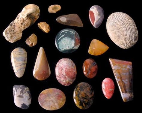 Stone Identification, Rock Identification, Rock Hunting, Rock Collection, Jasper Gemstone, Rocks And Minerals, New Zealand, Hunting, Gemstones