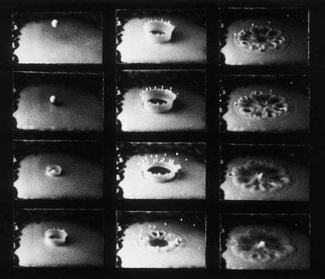 Harold Edgerton Harold Edgerton, Water Reference, Sequence Photography, Narrative Photography, Photography Artists, Photo Sequence, Susan Sontag, History Of Photography, Conceptual Photography