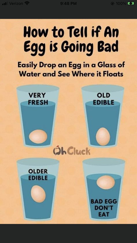 Egg Float Test, Egg Test, Bad Eggs, Kitchen Help, Baking Substitutes, Food Info, Food Facts, Fresh Eggs, How To Cook Eggs