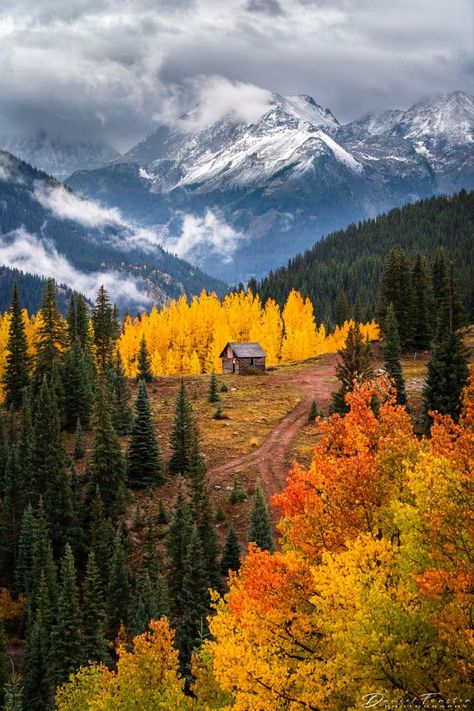 Abandoned Cabin, Aspen Forest, Colorado Wall Art, Colorado Fall, Colorado Photography, Colorado Landscape, San Juan Mountains, Autumn Scenes, Forest Nature