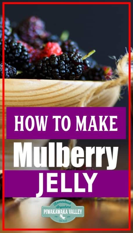 Mulberry Jelly Recipe, Mulberry Jelly, Homemade Grape Jelly, Mulberry Jam, Making Jelly, Jalapeno Jelly, How To Make Jelly, Jelly Recipe, Water Bath Canning