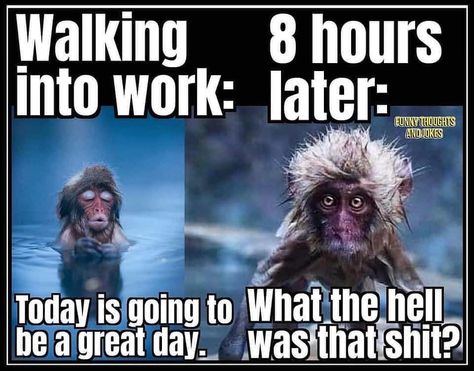 25 Funny Memes Ripe For The Picking - Funny Gallery Workplace Humor, Work Quotes Funny, Work Jokes, Funny Thoughts, Funny Cartoon Quotes, Office Humor, Work Memes, Cartoon Quotes, Sarcastic Quotes Funny