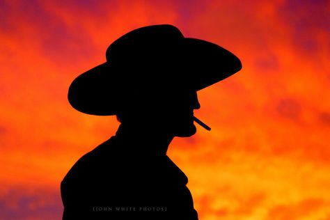 Cowboy | silhouette ... Cowboy Sillouhette, Hills Hoist, Silhouettes Of People, Cowboy Silhouette, Australia Pictures, Led Panels, Silhouette Pictures, Silhouette People, Silhouette Photography