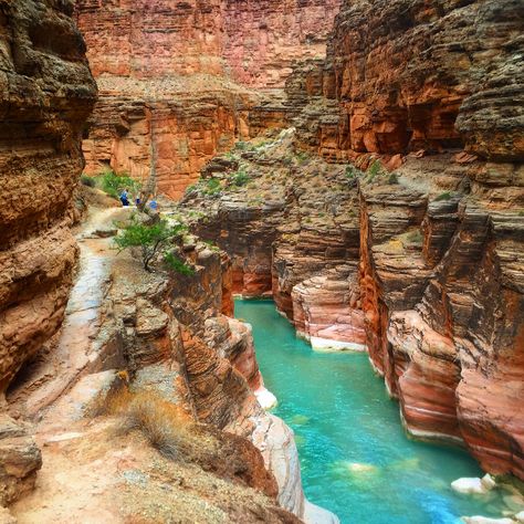 Blue-Green Water of Havasu Creek below Havasupai Falls in the Grand Canyon, Arizona #havasupai #havasu #supai #GrandCanyon #River #ColoradoRiver #Adventure #travel #seetheworld #getoutside #hike #arizona #arizonaguide Lake Havasu Arizona Spring Break, Havasu Canyon, Grand Canyon Pictures, Grand Canyon River Rafting, South Rim Grand Canyon, Arizona Wave Grand Canyon, Havasupai Falls, Grand Canyon East Rim, Colorado Plateau