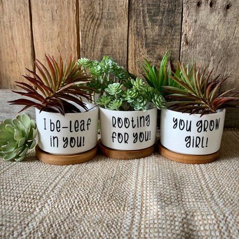 70 Good Gifts for Coworkers You Actually Like - Dodo Burd Lexington Nc, Plant Puns, Plant Pot Design, Ceramic Succulent Planter, Succulent Planters, Small Flower Pots, Rectangular Planters, Ceramic Succulent, Garden Wallpaper