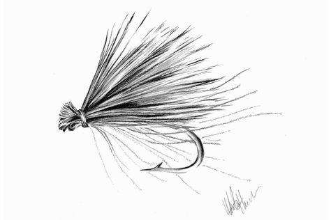 Fishing Prints, Surface Drawing, Fly Fishing Tattoo, Caddis Fly, Fishing Australia, Trout Art, Fly Drawing, Fly Art, Caddis Flies