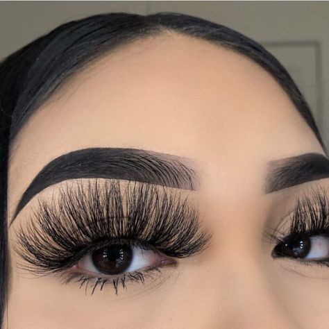 Whatsapp:+8617853721982 #wholesaleminklashes   #25mmlashes #minklasheswholesale  #eyelashvendorswholesale  #25mmminklashes #3dminklasheswholesale #wholesalelashessuppliers #wholesaleminkeyelashes  #25mmminklasheswholesale #wholesale3dminklashes #25mmlasheswholesale #minkeyelasheswholesale #wholesale25mmminklashes #minkeyelashesinbulk  #lashmanufacturers #25mmsiberianminklasheswholesale #siberianminklasheswholesale #minkeyelashessupplierswholesale #lashstripvendors #25mmminklashesstrips Volume Russe, Lashes Fake Eyelashes, Eyelash Brands, Perfect Eyelashes, Pretty Lashes, Eyelash Lift, Eyelash Growth Serum, Mascara Tips, Eye Lash Packaging