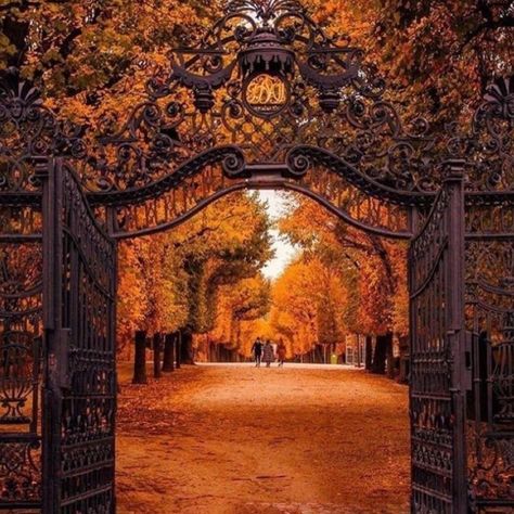 Gothic Academia Aesthetic, Court Aesthetic, Autumn Court, Goth Garden, Castle Aesthetic, A Court Of Wings And Ruin, Royal Aesthetic, Summer Palace, Book Writing Inspiration