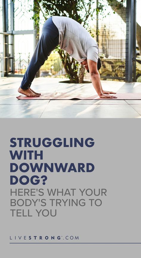 Downward Dog Yoga Pose, Downward Dog Yoga, Downward Dog Pose, Beginner Poses, Puppy Pose, Weight Bearing Exercises, Dog Poses, Dog Yoga, Yoga Positions