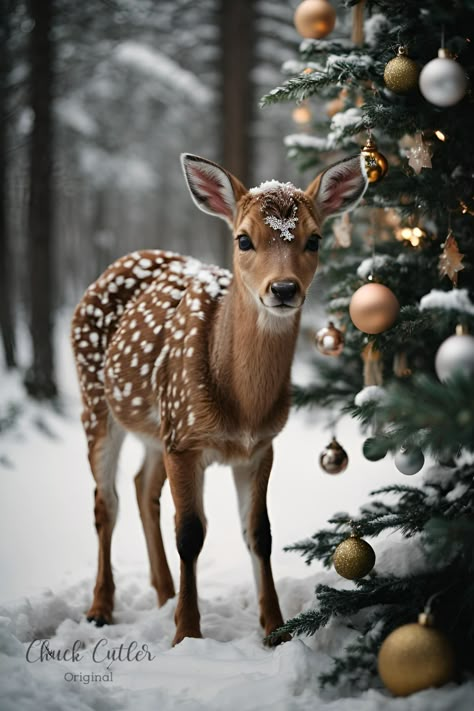 Chuck’s Images of Christmas Classic Christmas Images, Public Domain Christmas Images, Winter Images Wallpaper, Christmas Aesthetic Photography, Pretty Christmas Wallpaper, Winter Scenery Christmas, Happy Yuletide, Images Of Christmas, Peaceful Christmas