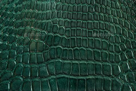 Green alligator leather, skin by praethip. Alligator, leather, hide, skins in green colour#skin, #praethip, #leather, #Green Crocodile Skin Wallpaper, Green Leather Texture, Alligator Fabric, Leather Texture Seamless, Fashion Installation, Polar Opposites, Hanging Craft Ideas, Snake Wallpaper, Construction Business Cards