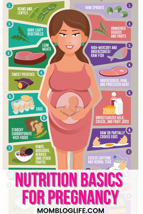 If you’re feeling confused about what to eat during pregnancy, this simple guide and infographic is perfect for a quick reference when you need it. #pregnant #pregnancy #pregnancyhealth #pregnancynutrition #pregnancydiet Hari Gizi, What To Eat During Pregnancy, Pregnancy Diets, Pregnancy Infographic, Pregnancy Chart, Ttc Tips, Pregnancy Eating, Nutrition Infographic, Pregnancy Diet