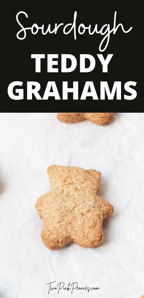 These Sourdough Graham Crackers are a great alternative to store bought cookies (like Teddy Grahams or Bunny Grahams) and taste so much better. You can use active starter or your sourdough discard for this recipe. They make for a wonderful homemade snack. Graham Cracker Recipe, Graham Cracker Snacks, Store Bought Cookies, Homemade Baby Snacks, Recipe Using Sourdough Starter, Cracker Recipe, Graham Cracker Recipes, Healthy Homemade Snacks, Sourdough Starter Discard Recipe