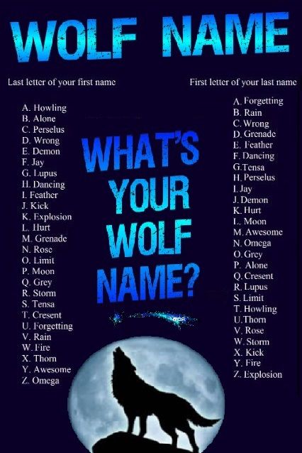 I'm Dancing Rain. Wolf Language, Your Wolf Name, Wolf’s Rain, Lone Wolf Quotes, Vampire Fashion, Wolf Colors, Sign Language Alphabet, Wolf Quotes, Name Inspiration