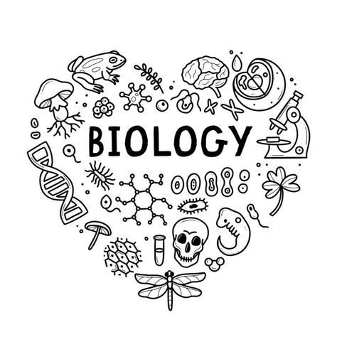 Biology doodle set. Collection of black and white hand drawn elements science biology heart shape. Vector illustration isolated on a white background. Earth Science Design, Biology Drawing Ideas, Biology Heart, Elements Science, Biology Drawing, Science Doodles, Shape Vector, Hand Drawn Elements, Science Biology