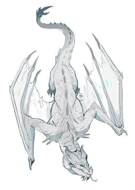 Dragons Artwork Drawing, Dragon Climbing Drawing, Dragon Looking Down, Dragon Poses Drawing, Dragon Sitting Reference, Dynamic Dragon Poses, Dragon Tail Reference, Dragon Laying Down, Dragon Head Reference