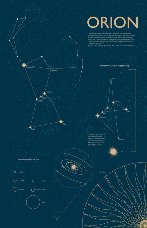 https://www.behance.net/gallery/28061715/Constellation-infographic Constellations And Their Meanings, All The Constellations, Star Constellations Tattoo, Constellations Tattoo, Orion Constellation Art, Archer Constellation, Constellation Graphic Design, Constellations Graphic Design, Constellations Art