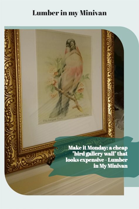 Audubon Prints, Make It Monday, Thrifty Decor Chick, Frame Ideas, Diy Birds, Picture Collage Wall, Colorful Bird, Bird Wall Art, Minivan