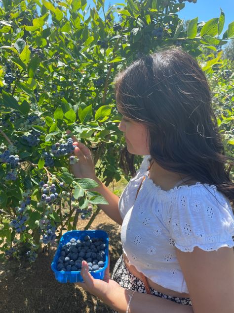 Blueberry Picking Pictures, Blueberry Photoshoot, Blueberry Picking Outfit, Trio Photoshoot, Blueberry Aesthetic, Blueberry Patch, Blueberry Girl, Childhood Cartoons, Summer Vision