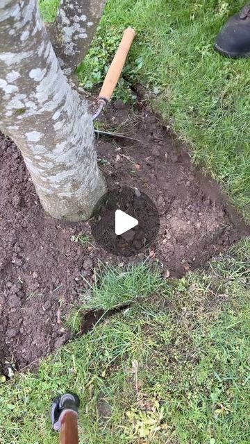 Alexander hayden on Instagram: "Satisfying lawn edging ! How to creat a square edge around a tree using a straight piece of wood. #satisfying #lawn #lawnedging #satisfyingvideos #wood #tips #howto #ideas #trasformation #lawncare #lawnedging #spring #work #garden" Square Tree Edging, Borders Around Trees Ideas, Natural Edge Landscaping, Lawn Edge Ideas, Edging Around Trees Ideas, Tree Edging Ideas, Around Tree Ideas, Diy Landscape Edging, Wood Landscape Edging