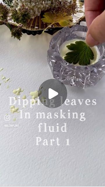 charlotta blomgren on Instagram: "Masking with masking fluid and leaves Part 1 🍃 This was a really fun process 💚  #maskingfluid #maskingfluidart  #botanicalsketch #aquarellefleurs #aquarelleflowers #watercolorfloral #watercolorflowers #botanicwatercolor #floralillustration #artinspiration  #watercolor #watercolor.blog #artistofinstagram #artistoninstagram #sketchbok #watercolorpractice #artreels #watercolorreels #watercolorpalette #sketchbookart #watecolouring #watercolorvideo #paintingprogress #watercolortip #watercolortips #winsorandnewton" Masking Watercolor, Masking Fluid Art, Watercolor With Masking Fluid, Watercolor Masking Fluid Ideas, Masking Fluid Watercolor Ideas, How To Use Masking Fluid, Masking Fluid Watercolor, Masking Liquid Watercolor, Watercolour Masking Fluid