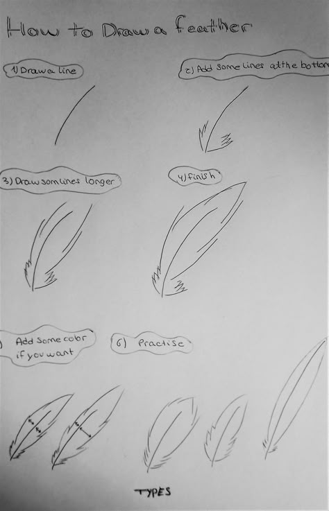 how to draw a feather Feathers Drawing Reference, Feather Digital Art, How To Draw Feathers On A Dress, Hat With Feather Drawing, Feather Duster Drawing, Feather Drawing Tutorial, Feather Drawing Reference, How To Draw A Feather, Aztec Oc