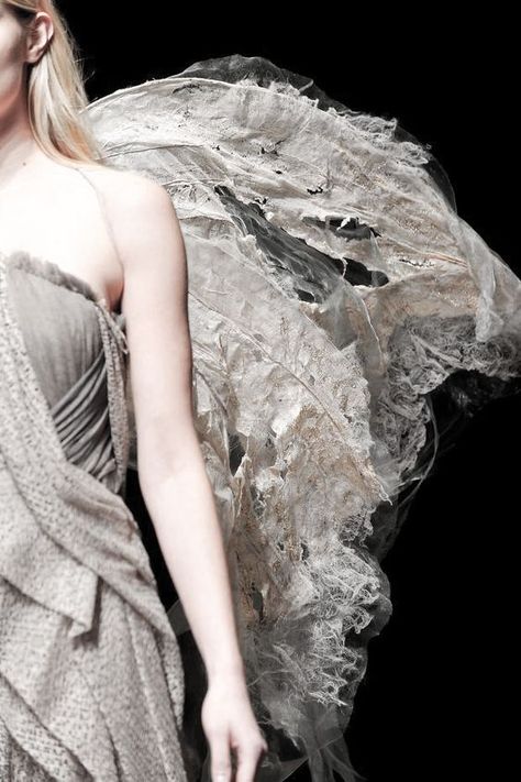 Yiqing Yin, Couture 2014, Moth Wings, Couture Details, Shades Of Grey, Fashion Details, Costume Design, Wearable Art, Moth