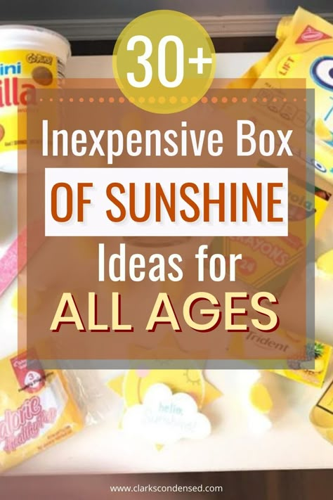 Sunshine Bags Ideas, Happiness Box Ideas, Sunshine Jar Ideas, Sunshine In A Box Ideas, Fun In The Sun Gift Basket Ideas, Basket Full Of Sunshine Gift Ideas, Bucket Of Sunshine Gift, Cheer Up Box For Friend, Sunshine Bag Ideas