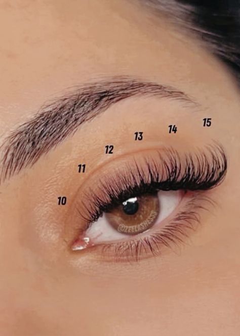 Lash Extensions Lash Map, Cluster Map, Natural Lash Extensions, Natural Fake Eyelashes, Lash Map, Lash Maps, Lash Ideas, Lashes Tutorial, Lashes Fake Eyelashes