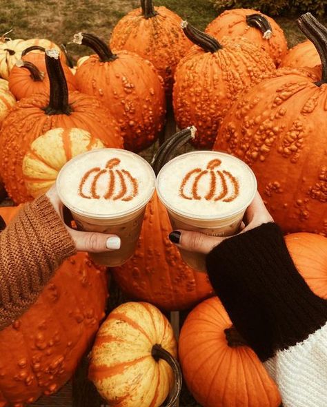 Cozy Fall Halloween Aesthetic, Fall With Bestie, Preppy Fall Pictures, Fall Drink Aesthetic, Fall Drinks Aesthetic, Fall Day Aesthetic, Halloween Asethic, Halloween Town Aesthetic, Fall And Halloween Aesthetic