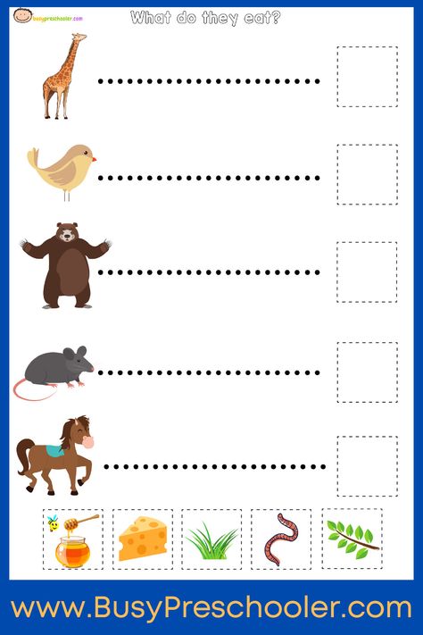 Free food matching worksheet for kids. Matching animals with the food they eat. Emotions Preschool Activities, Feelings Activities Preschool, Wild Animals List, Emotions Preschool, Feelings Activities, Matching Worksheets, Worksheet For Kids, Sorting Games, Preschool Activities Toddler