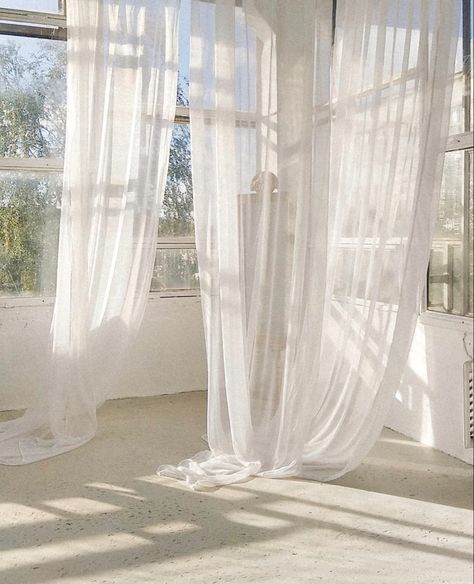 White Billowy Curtains, Empty Room Aesthetic, Lioness Painting, Cleanse Ritual, Home Cleanse, Shear Curtains, Calm Energy, One Word Instagram Captions, Healing Room