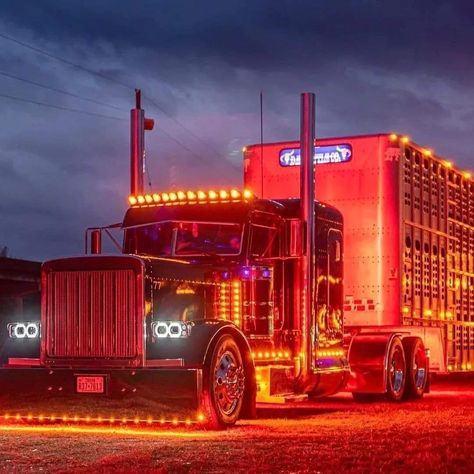 Bull Haulers Trucks, Custom Semi Trucks, Semi Trucks Humor, Bull Hauler, Nitro Express, Cattle Trucks, Dodge Diesel Trucks, Dodge Diesel, Customised Trucks