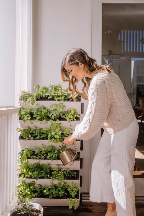 Herb Garden Ideas Balcony, Vegetable Garden In Balcony, Moveable Herb Garden, Indoor Vertical Vegetable Garden, Portable Herb Garden Diy, Vertical Garden Stand, Mini Garden On Balcony, Rooftop Herb Garden, Small Balcony Ideas Garden