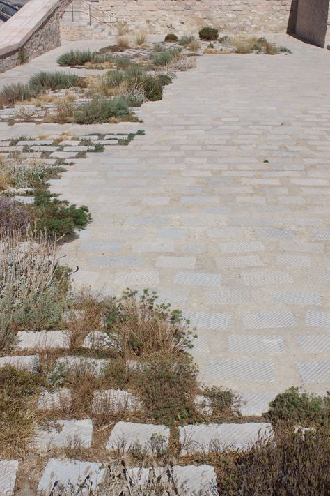 Terraced Landscape Design, Landscape Architecture Branding, Gradient Architecture, Vegetation Architecture, Landscape Pavement, Stone Pavement, Paving Pattern, Paving Ideas, Paving Design