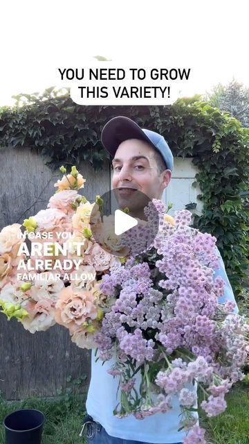 Antonio Valente Flowers on Instagram: "Wanna grow some yarrow ‘Love Parade’ of your own? I got ya covered! The AVF online seed shop is currently stocked with this gorgeous variety. ⁣ ⁣ Whether you’re interested in cut flowers, or a really great perennial for your garden, this is an all-around reliable variety. ⁣ ⁣ Feel free to head on over to the shop and do some browsing. I guarantee it’ll be a mid-winter pick-me-up and a reminder of days to come. Shipping throughout Canada and the US. Link in my bio ☺️🌸" Yarrow Garden, Love Parade, Seed Shop, Cut Flowers, Perennials, Flower Garden, Seeds, Feel Free, Flowers