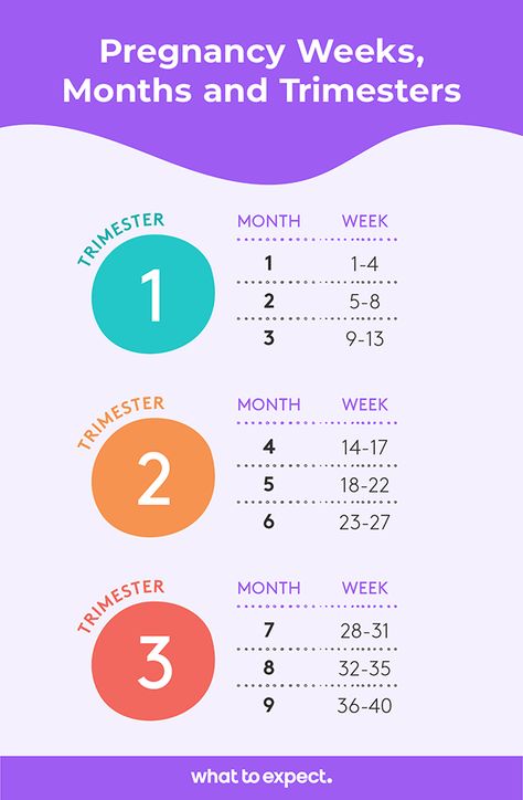 Pregnancy Weeks to Months - How Many Weeks, Months and Trimesters in a Pregnancy? Pregnancy Weeks To Months, Weeks To Months Pregnant, Am I Pregnant Quiz, Trimester Chart, Pregnancy Weeks, Pregnancy Chart, Trimester By Weeks, 15 Weeks Pregnant, Am I Pregnant